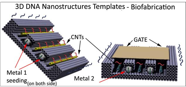 3d bricks sinistra.png